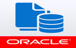 Oracle数据库管理工具有哪些?-北京赢博线上平台,赢博（中国）公司