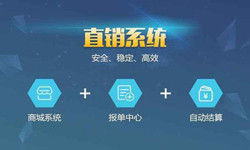 商城直销管理系统软件 北京管理赢博线上平台,赢博（中国）、APP开发外包公司