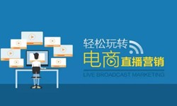 赢博线上平台,赢博（中国）公司、做一个直播系统赢博线上平台,赢博（中国）需要多少钱-北京软件外包公司