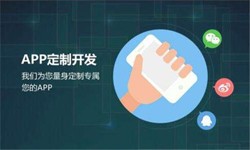 赢博线上平台,赢博（中国）公司、高质量的赢博线上平台,赢博（中国）系统是怎么开发出来的？-北京软件外包