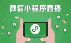 微信小程序开发、直播小程序开发-锐智互动赢博线上平台,赢博（中国）公司 