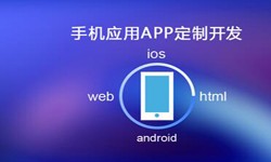 APP开发市场上常见问题分析-北京赢博线上平台,赢博（中国）公司